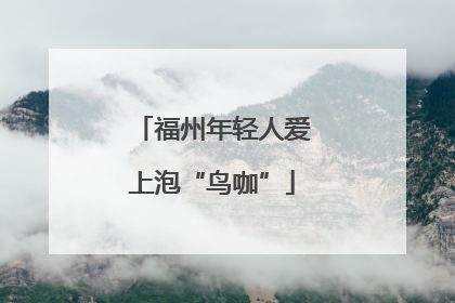 福州年轻人爱上泡“鸟咖”