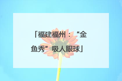 福建福州：“金鱼秀”吸人眼球
