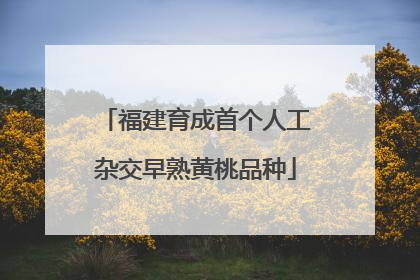 福建育成首个人工杂交早熟黄桃品种