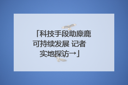 科技手段助麋鹿可持续发展 记者实地探访→