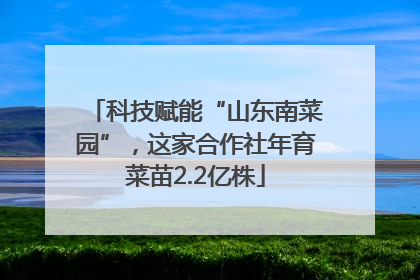 科技赋能“山东南菜园”，这家合作社年育菜苗2.2亿株