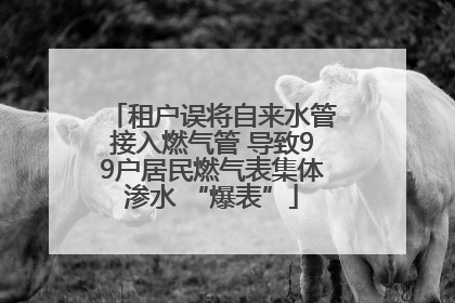 租户误将自来水管接入燃气管 导致99户居民燃气表集体渗水 “爆表”