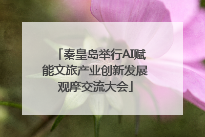 秦皇岛举行AI赋能文旅产业创新发展观摩交流大会