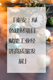 秦安：绿色建材项目赋能工业经济高质量发展