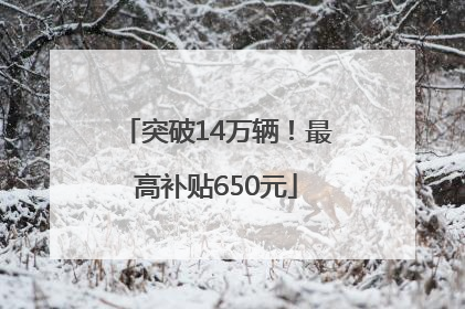 突破14万辆！最高补贴650元