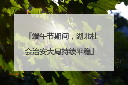端午节期间，湖北社会治安大局持续平稳