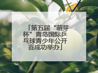 第五届“萌芽杯”青岛国际乒乓球青少年公开赛成功举办