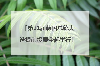第21届韩国总统大选提前投票今起举行