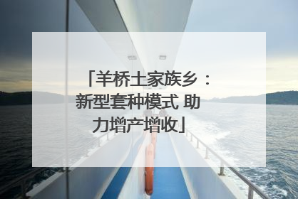 羊桥土家族乡：新型套种模式 助力增产增收