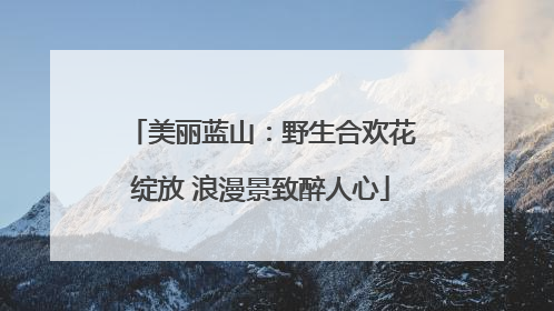 美丽蓝山：野生合欢花绽放 浪漫景致醉人心