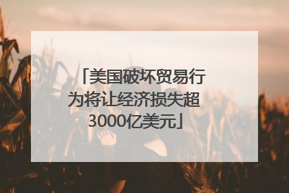 美国破坏贸易行为将让经济损失超3000亿美元