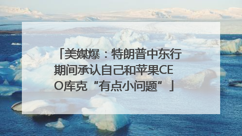美媒爆：特朗普中东行期间承认自己和苹果CEO库克“有点小问题”
