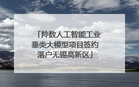 羚数人工智能工业垂类大模型项目签约落户无锡高新区