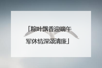 粽叶飘香迎端午 军休情深颂清廉