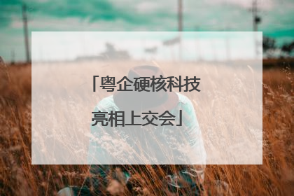 粤企硬核科技亮相上交会