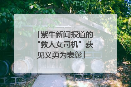 紫牛新闻报道的“救人女司机”获见义勇为表彰