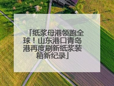 纸浆母港领跑全球！山东港口青岛港再度刷新纸浆装箱新纪录