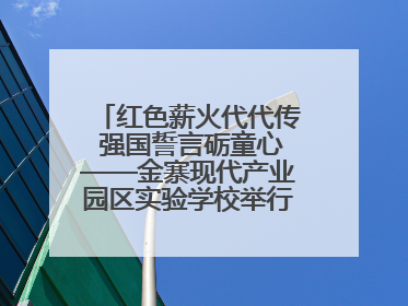 红色薪火代代传 强国誓言砺童心——金寨现代产业园区实验学校举行分批入队仪式