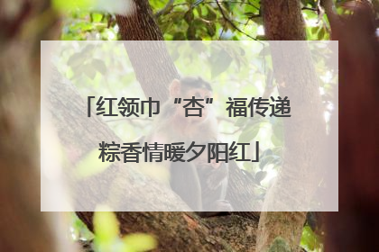 红领巾“杏”福传递 粽香情暖夕阳红