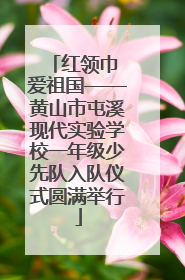 红领巾 爱祖国——黄山市屯溪现代实验学校一年级少先队入队仪式圆满举行