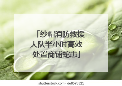 纱帽消防救援大队半小时高效处置商铺蛇患