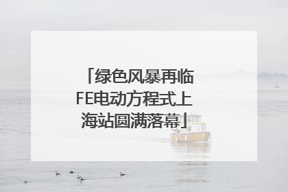 绿色风暴再临 FE电动方程式上海站圆满落幕