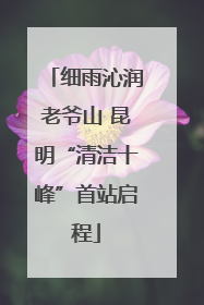 细雨沁润老爷山 昆明“清洁十峰”首站启程