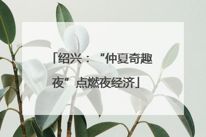 绍兴：“仲夏奇趣夜”点燃夜经济