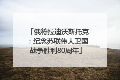 俄符拉迪沃斯托克：纪念苏联伟大卫国战争胜利80周年