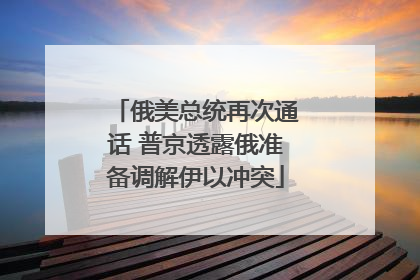俄美总统再次通话 普京透露俄准备调解伊以冲突