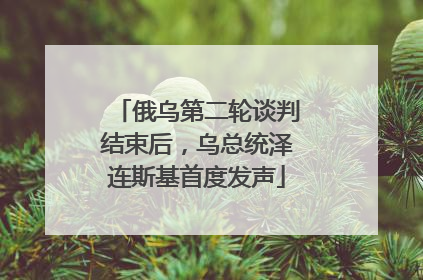 俄乌第二轮谈判结束后，乌总统泽连斯基首度发声