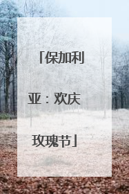 保加利亚：欢庆玫瑰节