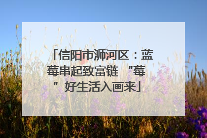 信阳市浉河区：蓝莓串起致富链 “莓”好生活入画来