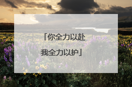 你全力以赴 我全力以护