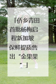 侨乡青田首批杨梅启程新加坡 保鲜提质售出“金果果”