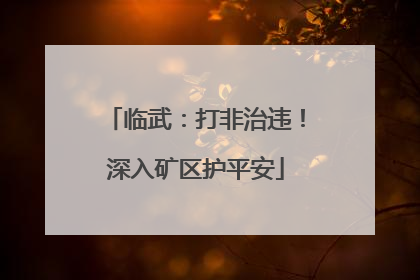 临武：打非治违！深入矿区护平安