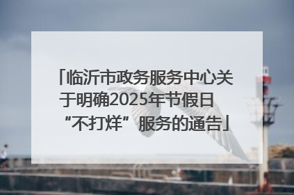 临沂市政务服务中心关于明确2025年节假日“不打烊”服务的通告