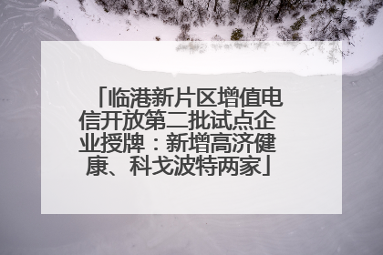 临港新片区增值电信开放第二批试点企业授牌：新增高济健康、科戈波特两家