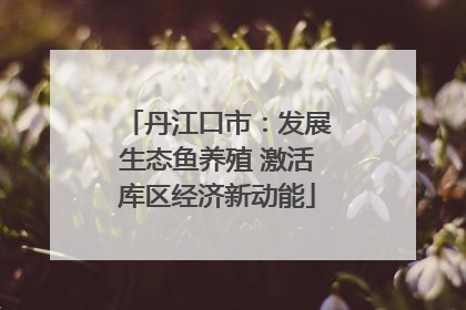丹江口市：发展生态鱼养殖 激活库区经济新动能