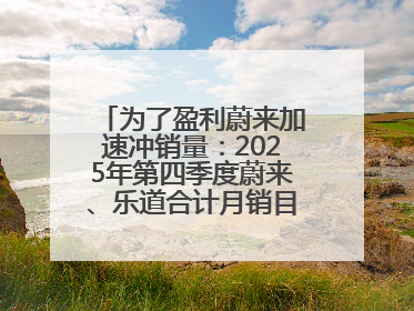 为了盈利蔚来加速冲销量：2025年第四季度蔚来、乐道合计月销目标达5万辆