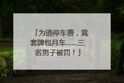 为逃停车费，竟套牌包月车……三名男子被罚！