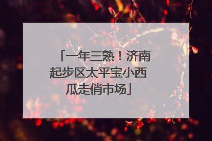 一年三熟！济南起步区太平宝小西瓜走俏市场