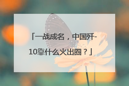 一战成名，中国歼-10靠什么火出圈？