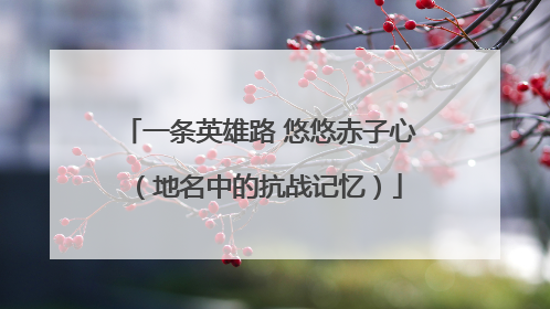 一条英雄路 悠悠赤子心（地名中的抗战记忆）