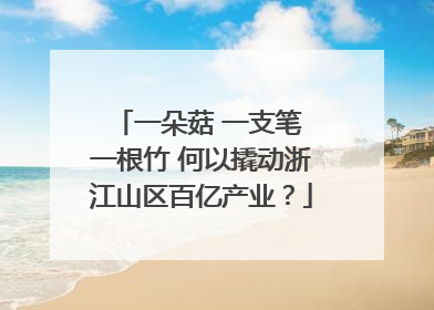一朵菇 一支笔 一根竹 何以撬动浙江山区百亿产业？