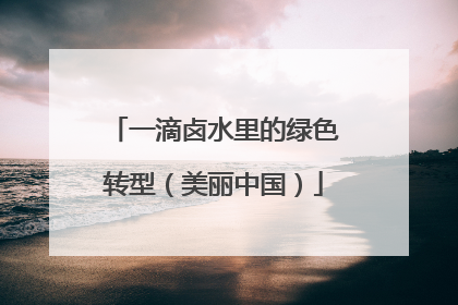 一滴卤水里的绿色转型（美丽中国）