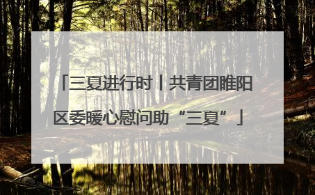 三夏进行时丨共青团睢阳区委暖心慰问助“三夏”