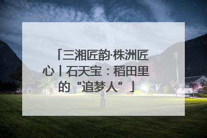 三湘匠韵·株洲匠心丨石天宝：稻田里的“追梦人”