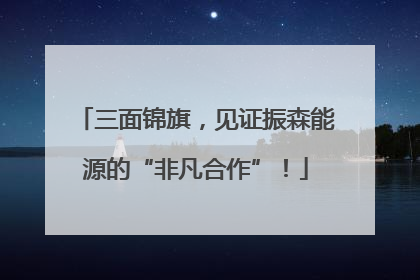 三面锦旗，见证振森能源的“非凡合作”！