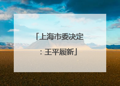 上海市委决定：王平履新